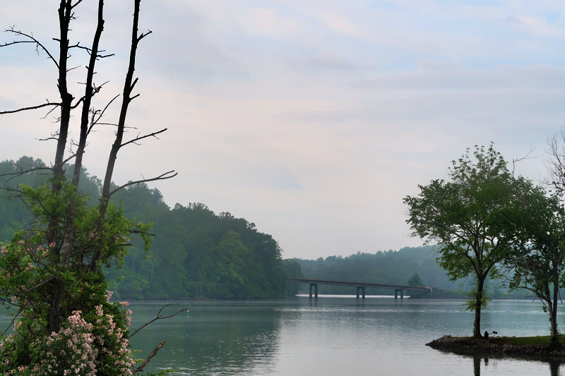 caney-creek-campground-morning