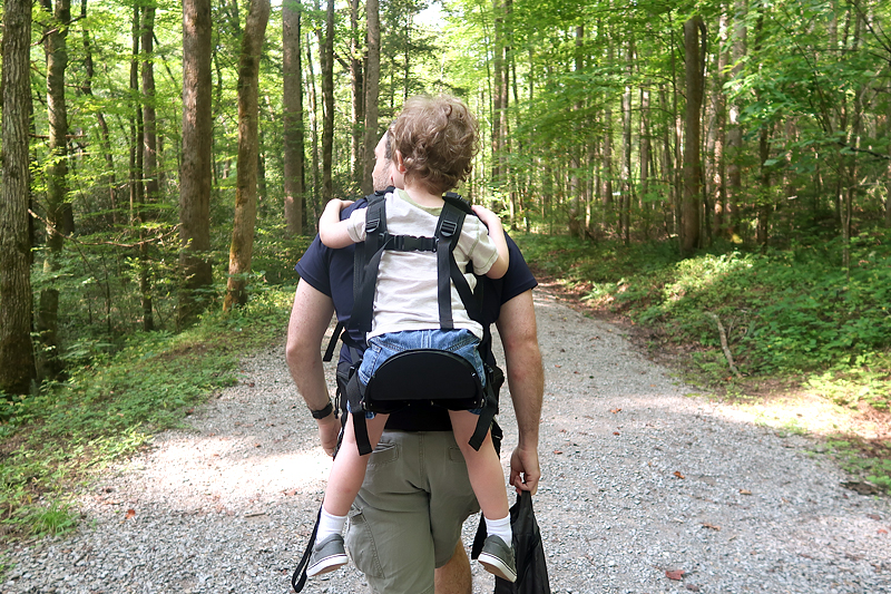 Freeloader toddler carrier review