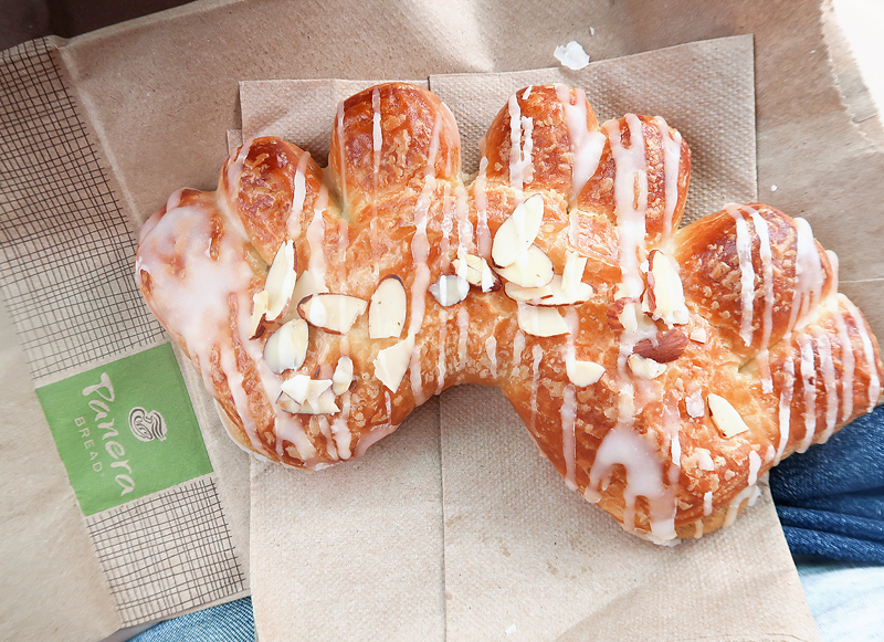 free-bear-claw-pastry-from-panera-on-birthday