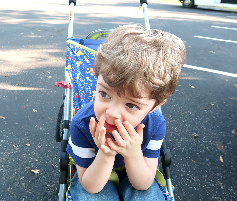 toddler in umbrella stroller