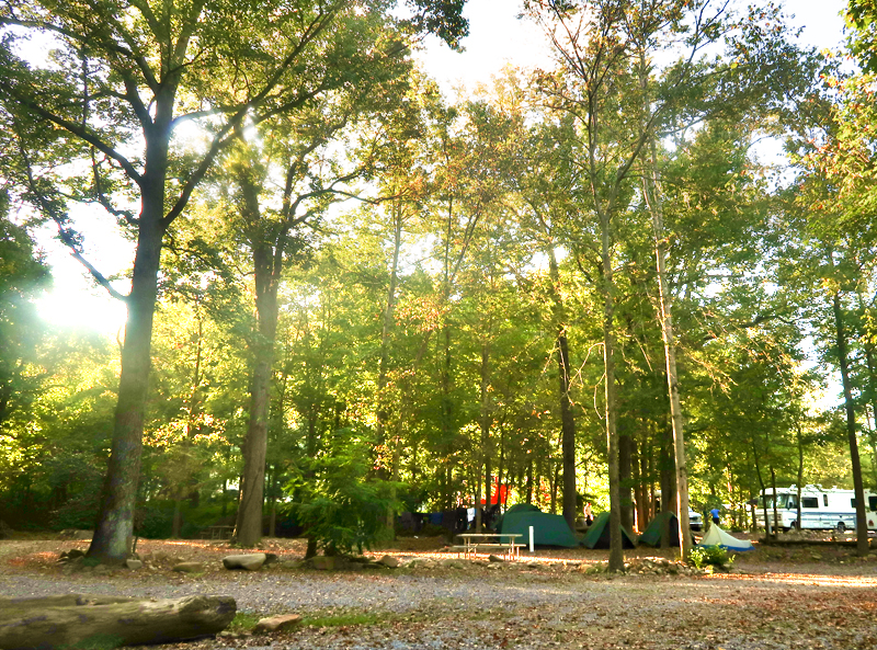 Where to camp in Jonesborough - review of Riverpark Campground