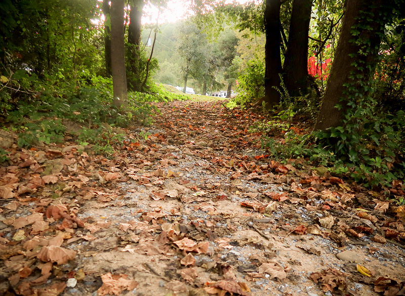 Where to camp in Jonesborough - review of Riverpark Campground