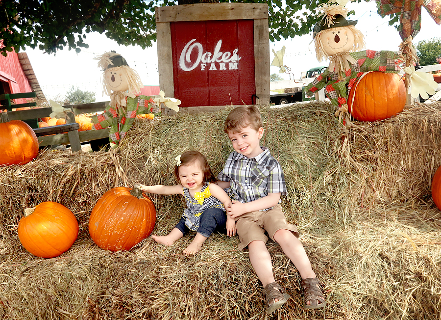 Oakes Farm Fall Attraction, Hay Ride, and Corn Maze in Corryton Tennessee