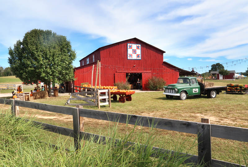 Oakes Farm Fall Attraction, Hay Ride, and Corn Maze in Corryton Tennessee