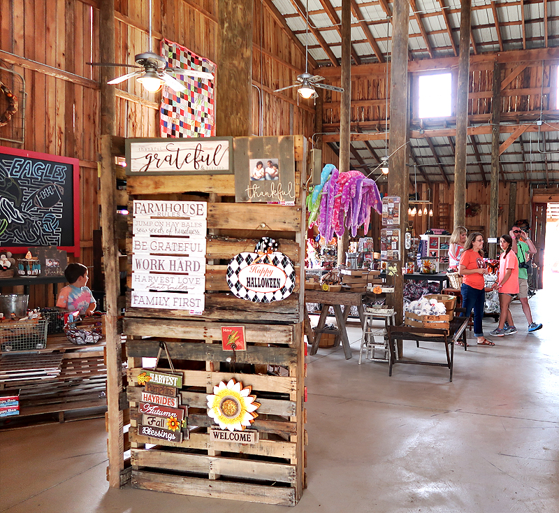 Oakes Farm Fall Attraction, Hay Ride, and Corn Maze in Corryton Tennessee