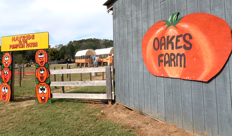 Oakes Farm Fall Attraction, Hay Ride, and Corn Maze in Corryton Tennessee