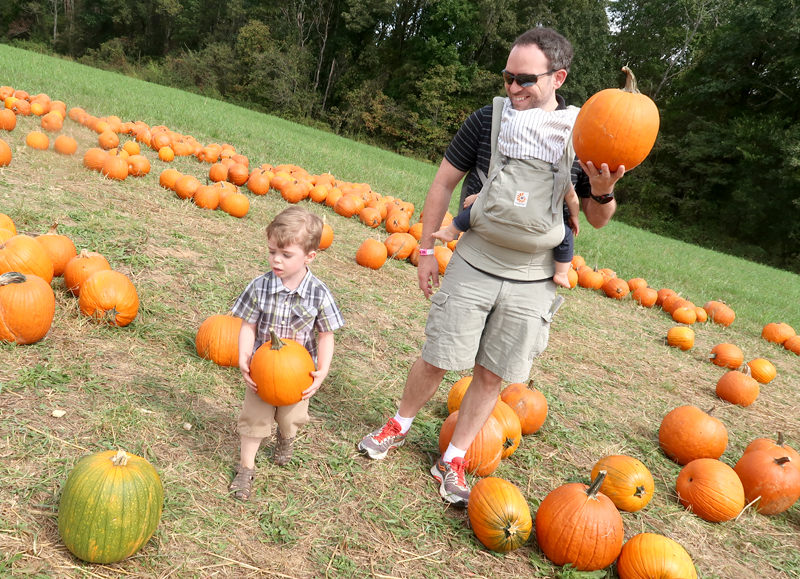 Oakes Farm Fall Attraction, Hay Ride, and Corn Maze in Corryton Tennessee