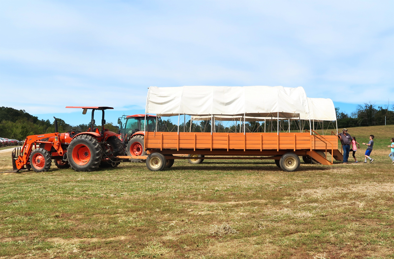 Oakes Farm Fall Attraction, Hay Ride, and Corn Maze in Corryton Tennessee