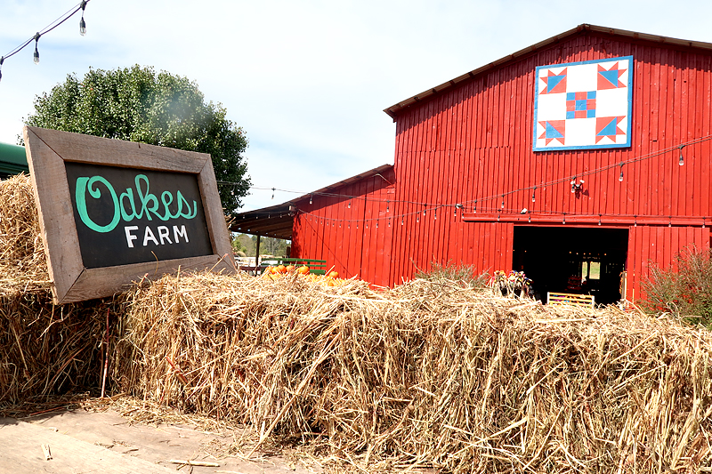 Oakes Farm Fall Attraction, Hay Ride, and Corn Maze in Corryton Tennessee