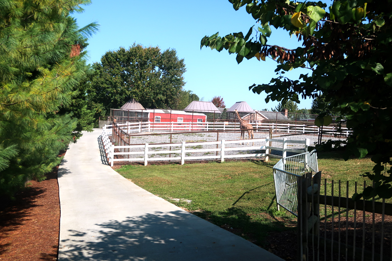 Brights Zoo review in Limestone, TN, just outside of Jonesborough