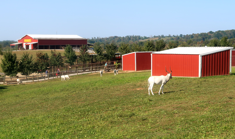 Brights Zoo review in Limestone, TN, just outside of Jonesborough