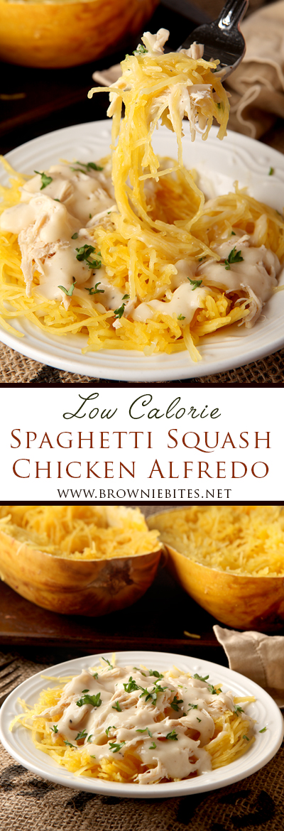 Low calorie spaghetti squash chicken alfredo - a great alternative to higher calorie alfredo pasta, and how to cook perfect al dente spaghetti squash that is not watery!