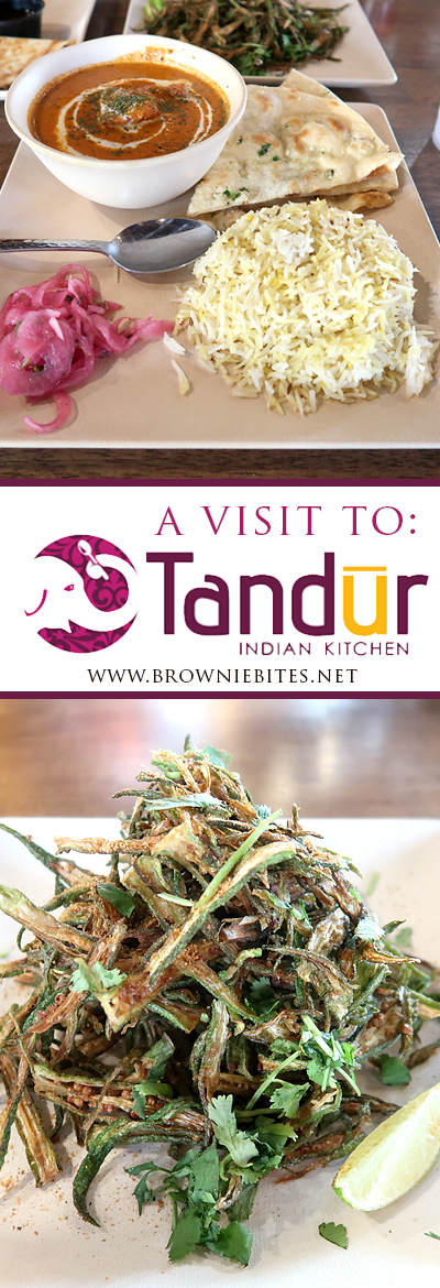 Tandur Indian Kitchen Review in Knoxville Tennessee