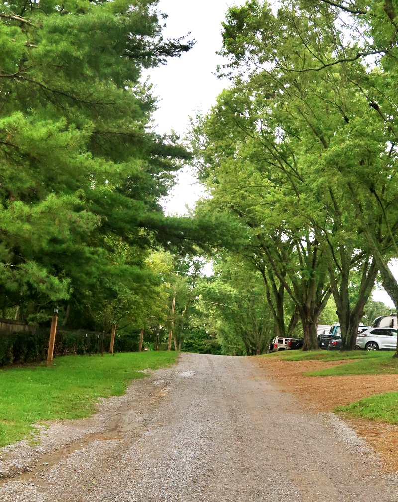 Our stay at the most friendly campground we have ever stayed in - Lazy Llama Campground in Greeneville Tennessee