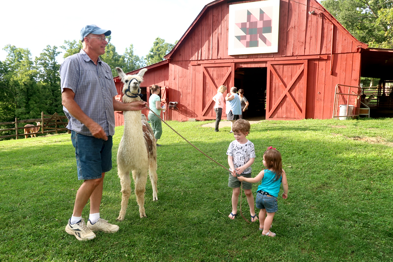 Our stay at the most friendly campground we have ever stayed in - Lazy Llama Campground in Greeneville Tennessee