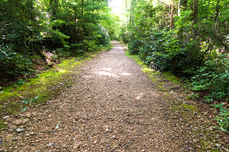 Margarette Falls Hike Information in Greeneville