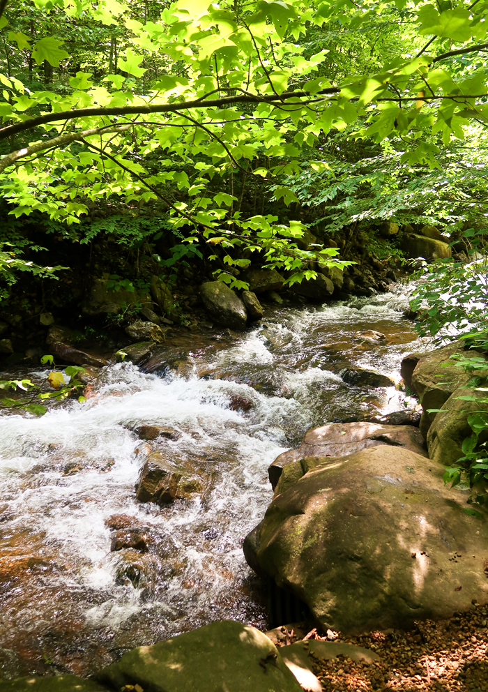 Margarette Falls Hike Information in Greeneville