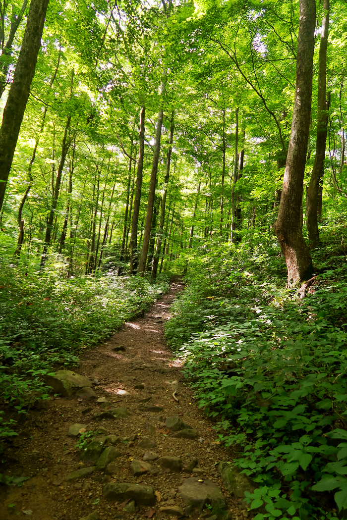 Margarette Falls Hike Information in Greeneville