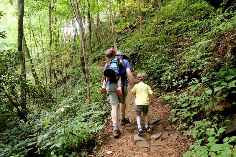 Margarette Falls Hike Information in Greeneville