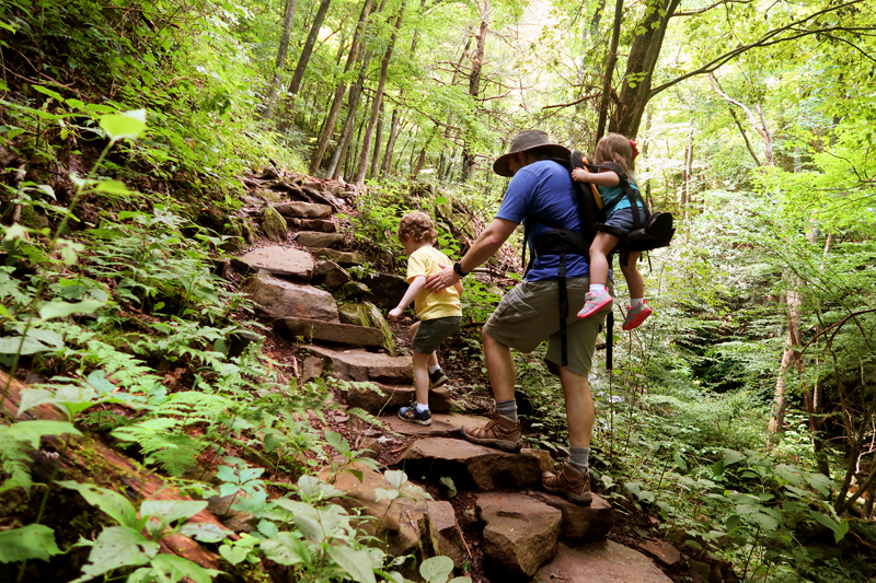 Margarette Falls Hike Information in Greeneville