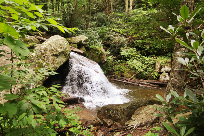 Margarette Falls Hike Information in Greeneville