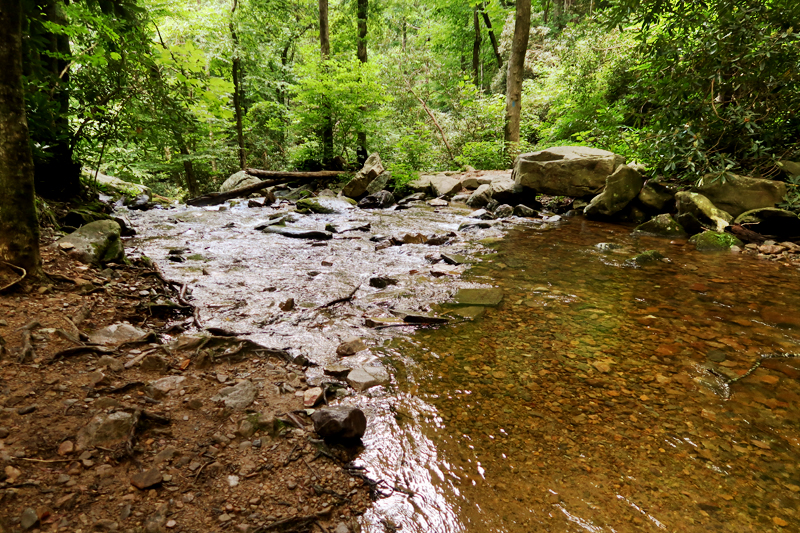 Margarette Falls Hike Information in Greeneville