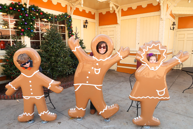 Tips for Visiting Dollywood During Christmas