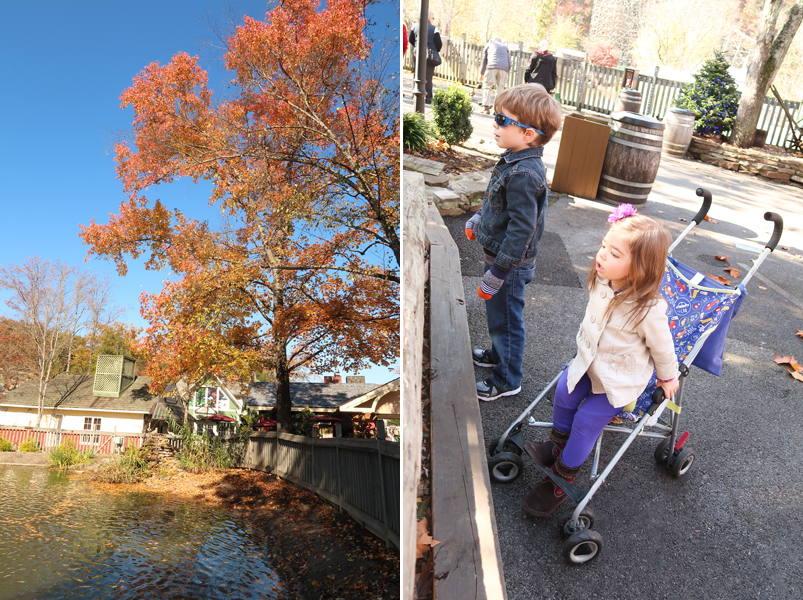 Tips for Visiting Dollywood During Christmas