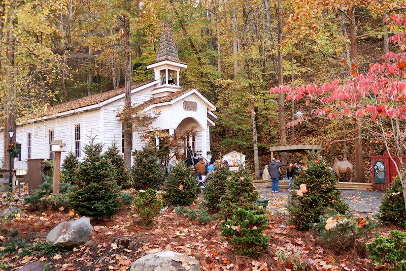 Tips for Visiting Dollywood During Christmas