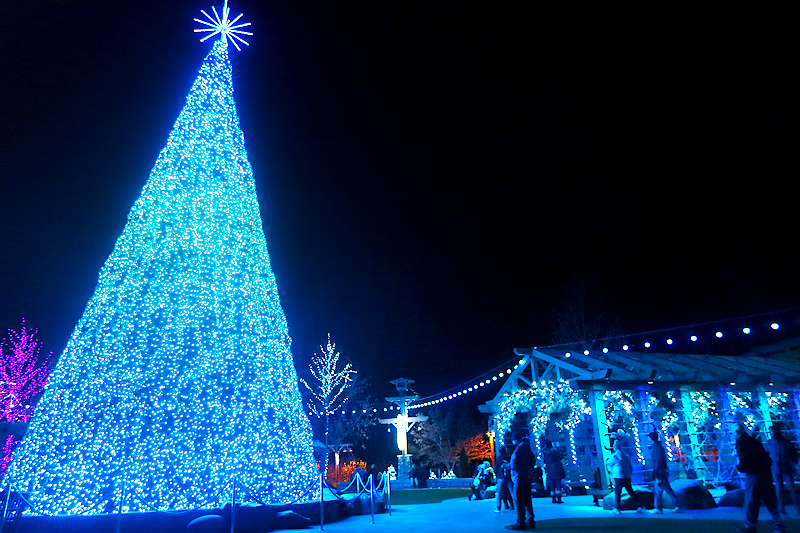 Tips for Visiting Dollywood During Christmas