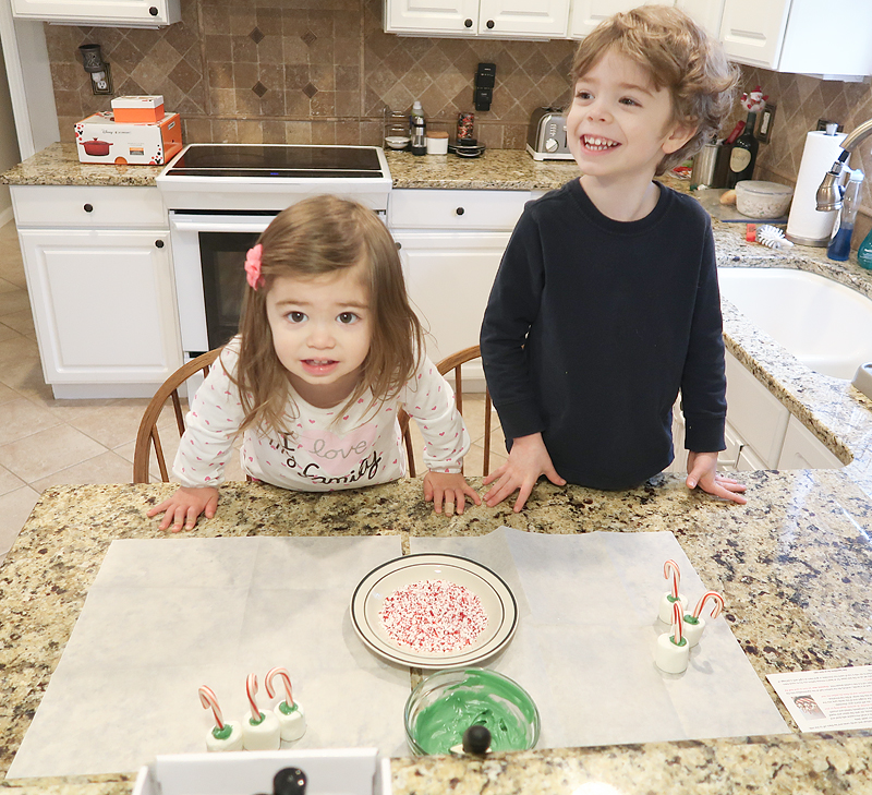 Gramma in a Box | December Christmas Treats! - Brownie Bites Blog