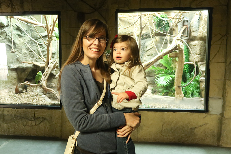 Our visit to Rainforest Adventures Zoo in Pigeon Forge!