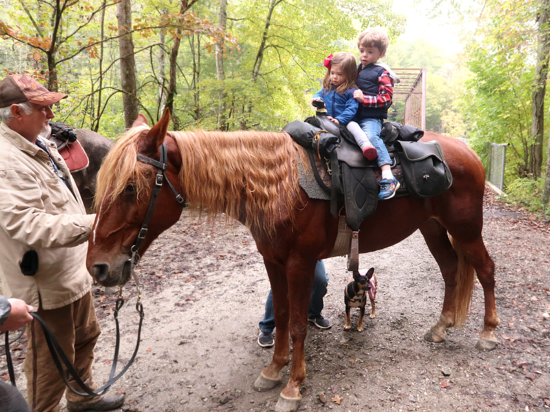 Things to do in Big South Fork - hiking, horseback riding, camping, and more