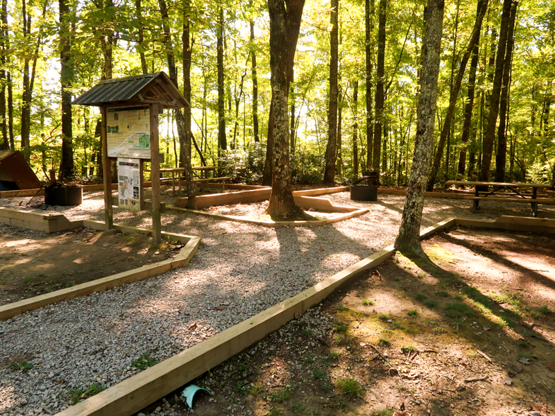 Twin Arches Loop Trail Hike in Big South Fork