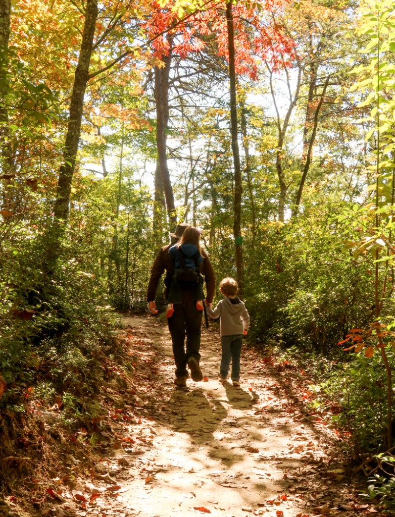 Twin Arches Loop Trail Hike in Big South Fork