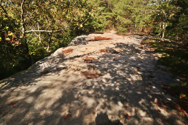 Twin Arches Loop Trail Hike in Big South Fork