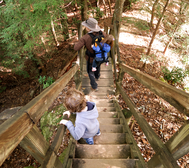 Twin Arches Loop Trail Hike in Big South Fork