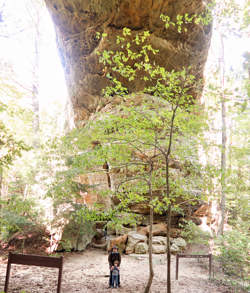 Twin Arches Loop Trail Hike in Big South Fork