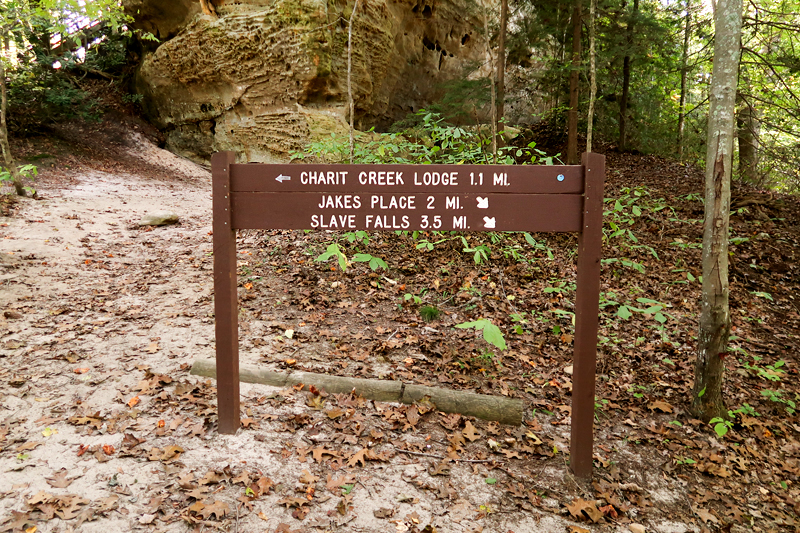 Twin Arches Loop Trail Hike in Big South Fork