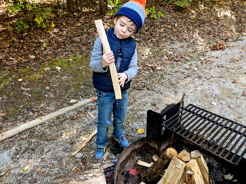 Bandy Creek Campground Review - where to camp in Big South Fork