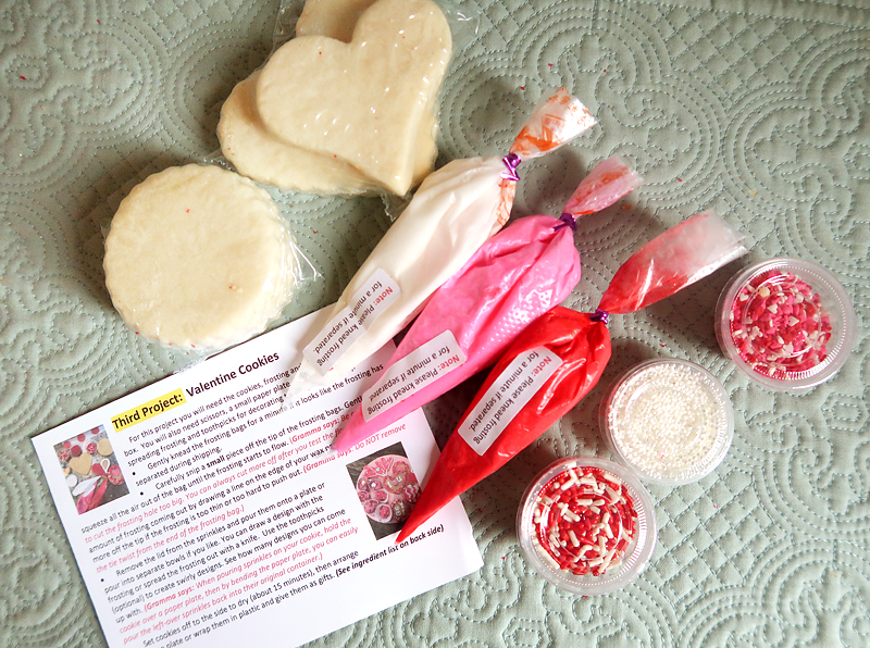 Review of the Valentine's Day February Gramma in a Box!