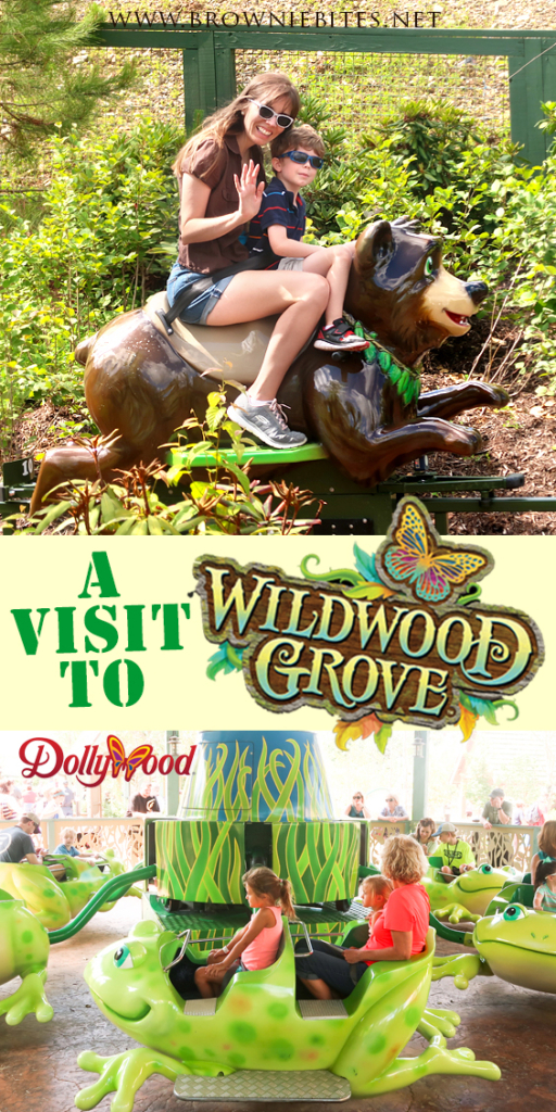 Visiting Dollywood's new Wildwood Grove expansion!