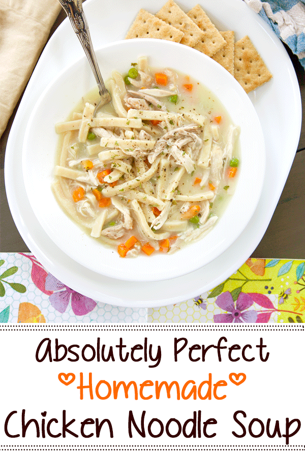 Pinterest image with text for homemade chicken noodle soup