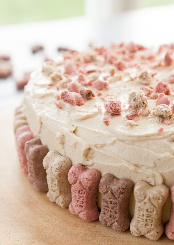 Close up of dog birthday cake recipe without peanut butter with mini Milk Bones lined up around the edges.